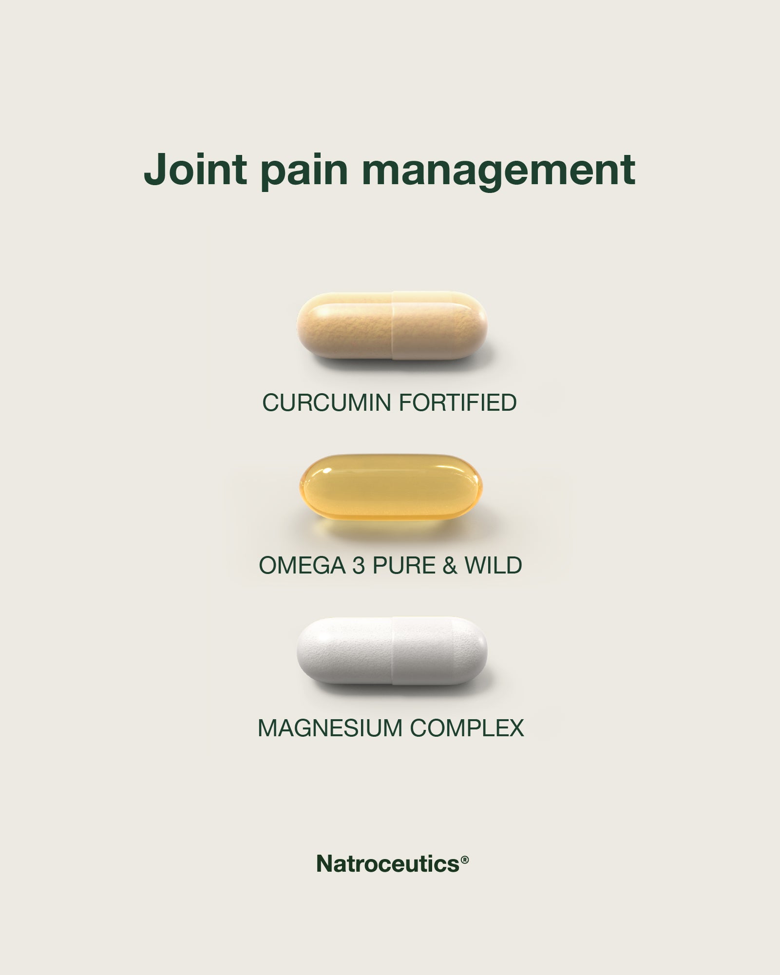 Joint Health Support protocol with Curcumin Fortified, Omega 3 Fortified and Magnesium Complex.