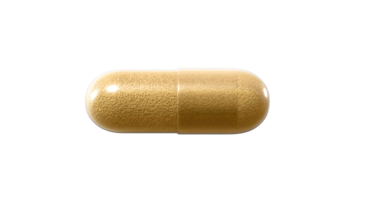 Lion's Mane Bioactive