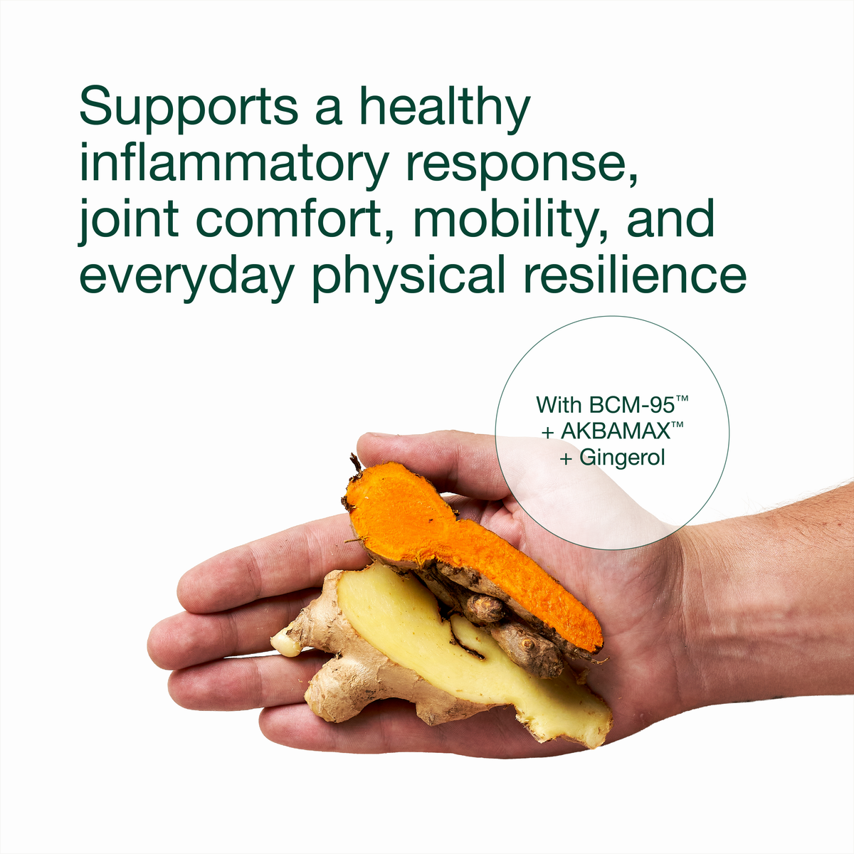 Curcumin Fortified