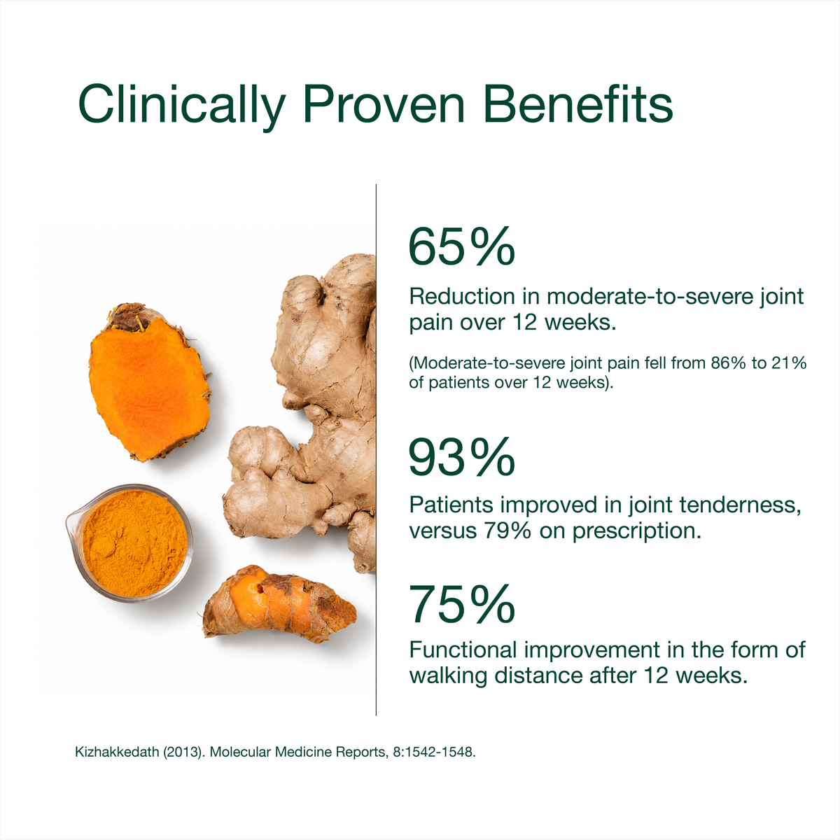 Curcumin Fortified