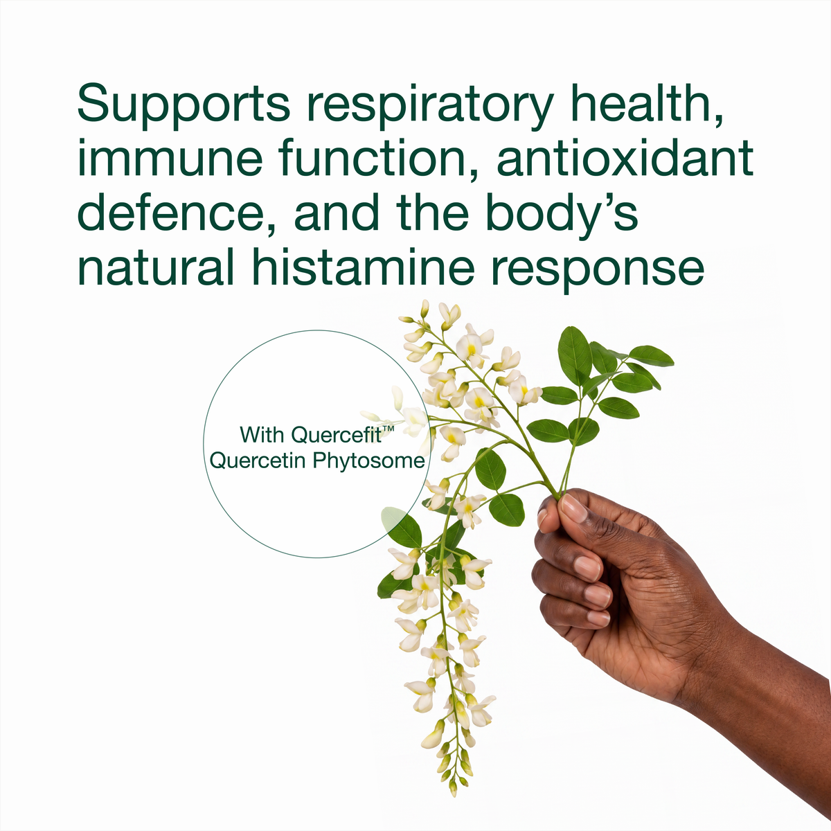 Quercetin Bioactive