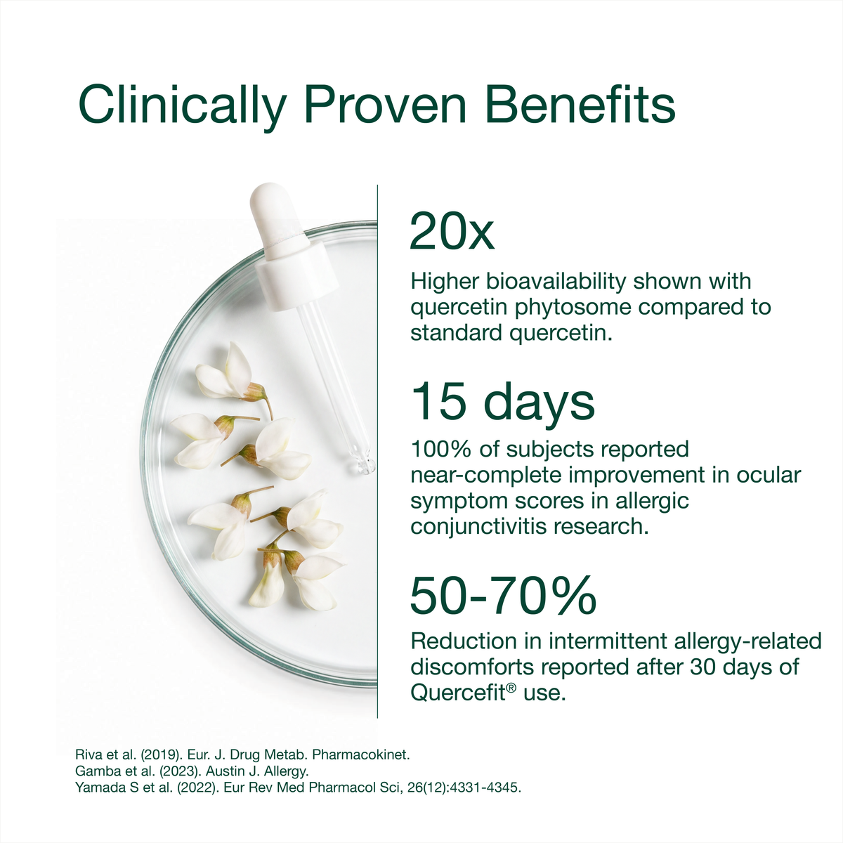 Quercetin Bioactive