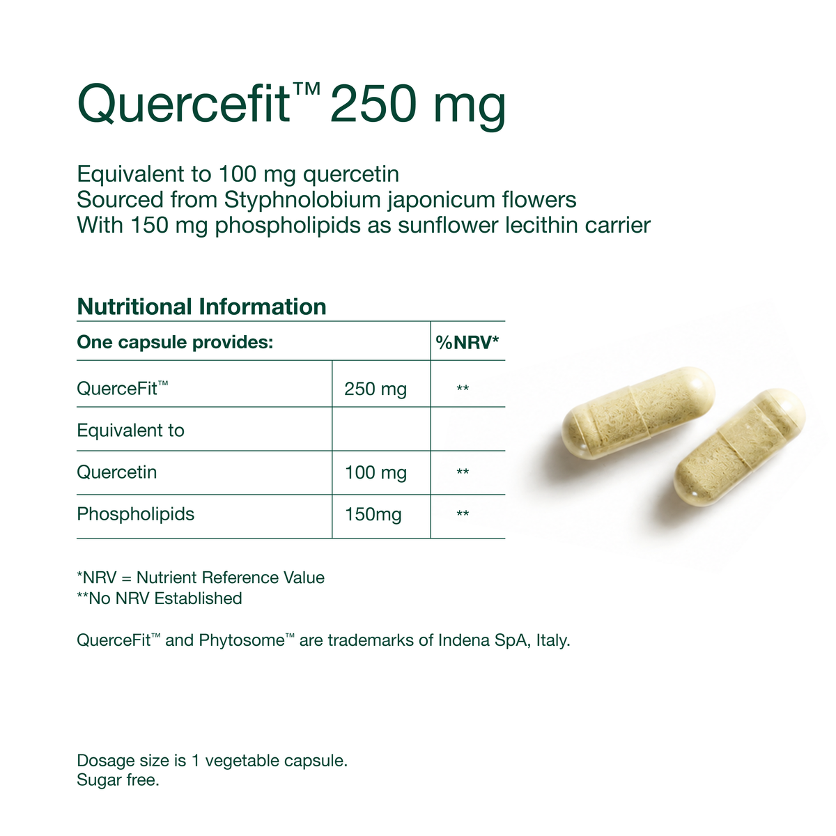 Quercetin Bioactive